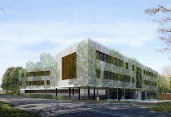 Vente bureaux - Proche Rocade et A68