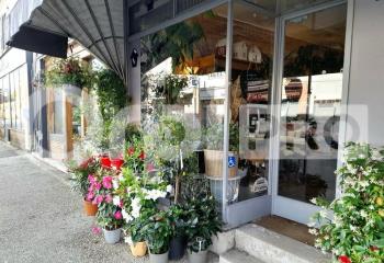 Fonds de commerce à vendre La Ferté-Saint-Aubin (45240)