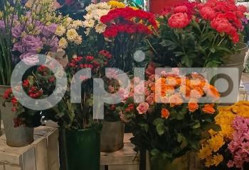Fonds de commerce commerces de proximité à vendre Pézenas (34120)