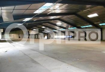 Activité/Entrepôt à vendre Albias (82350) - 12000 m²  à Albias - 82350