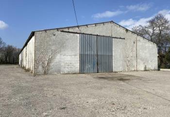 Vente entrepôt - Proche Bordeaux  à Ambarès-et-Lagrave - 33440