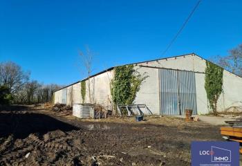Vente entrepôt - Proche A10 et Rocade Bordelaise  à Ambarès-et-Lagrave - 33440