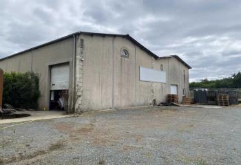 Activité/Entrepôt à vendre Beautiran (33640) - 450 m²  à Beautiran - 33640