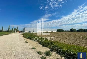 Entrepôt agricole à vendre - Proche autoroutes  à Bédarrides - 84370