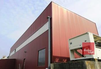 Activité/Entrepôt à vendre Campsas (82370) - 2925 m²  à Campsas - 82370