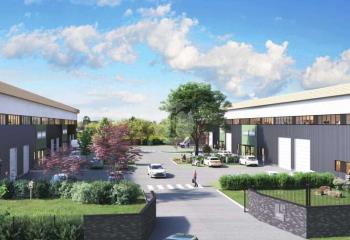 Activité/Entrepôt à vendre Cysoing (59830) - 10263 m²  à Cysoing - 59830