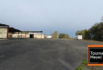 Activité/Entrepôt à vendre Fourquevaux (31450) - 1750 m²  à Fourquevaux - 31450