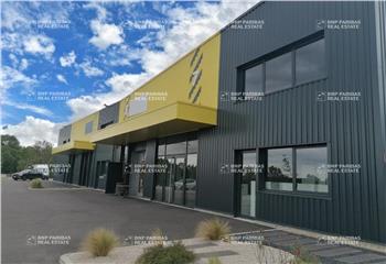 Activité/Entrepôt à vendre Frans (01480) - 247 m²