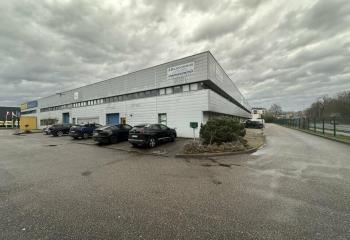 Local d'activité à vendre - Proche A35 et GCO  à Illkirch-Graffenstaden - 67400