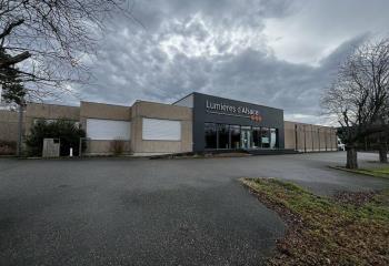 Activité/Entrepôt à vendre Illkirch-Graffenstaden (67400) - 700 m²  à Illkirch-Graffenstaden - 67400