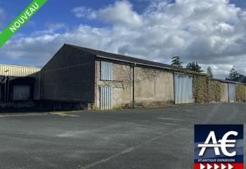 Activité/Entrepôt à vendre Liré (49530) - 2700 m²  à Liré - 49530