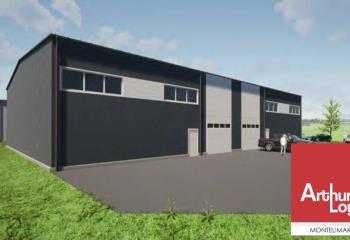 Activité/Entrepôt à vendre Malataverne (26780) - 2806 m²