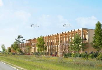 Local d'activité à vendre - Proche Melun et A5  à Montereau-sur-le-Jard - 77950