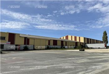 Activité/Entrepôt à vendre Pithiviers-le-Vieil (45300) - 4760 m²  à Pithiviers-le-Vieil - 45300