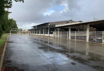 Bâtiment d'activités divisible à vendre - Parc d'activités Bel Air  à Pluguffan - 29700