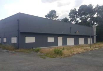 Locaux d'activités à vendre - Proximité rocade sortie 12  à Saint-Jean-d'Illac - 33127