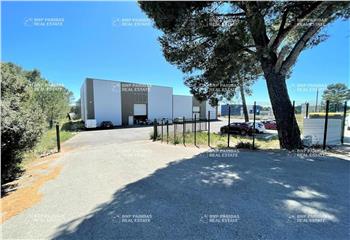 Activité/Entrepôt à vendre Signes (83870) - 800 m²  à Signes - 83870