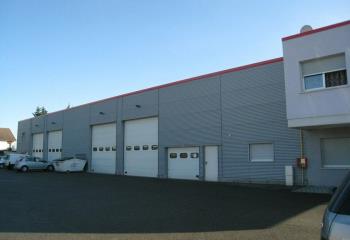 Activité/Entrepôt à vendre Wittenheim (68270) - 1220 m²  à Wittenheim - 68270