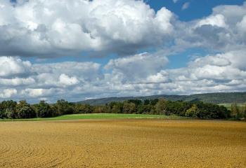 Terrain industriel à vendre -, proche A4 et A26  à Courmelles - 02200