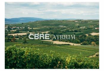 Terrain constructible - Proche Vichy et A71
