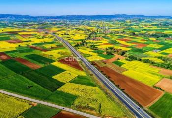 Terrain industriel à vendre -, accès A4/A35 et TGV  à Herrlisheim - 67850