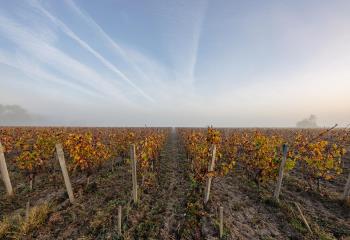 Terrain à vendre Saint-Michel-de-Fronsac (33126) - 450 m²  à Saint-Michel-de-Fronsac - 33126