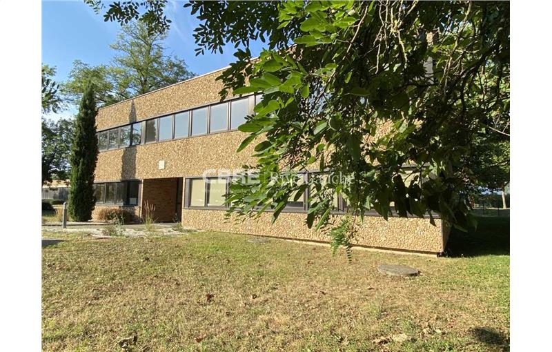 Location de bureau de 396 m² à Lingolsheim - 67380 photo - 1