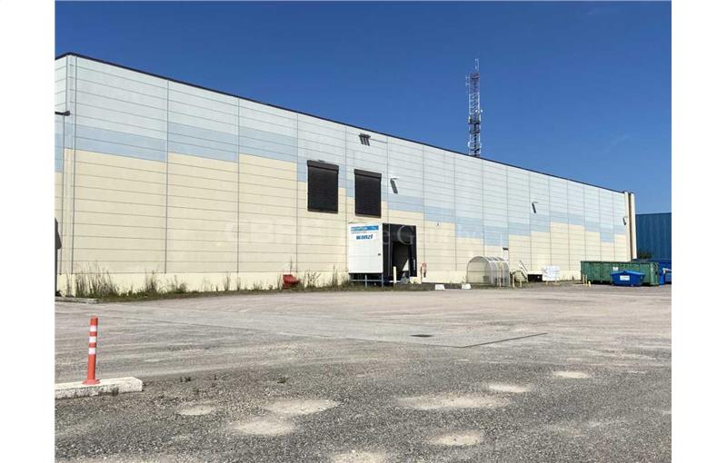 Location d'entrepôt de 2 949 m² à Sélestat - 67600 photo - 1