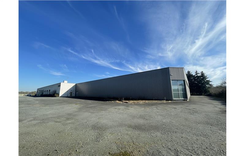 Entrepôt à vendre de 5 600 m² à Cholet - 49300 photo - 1